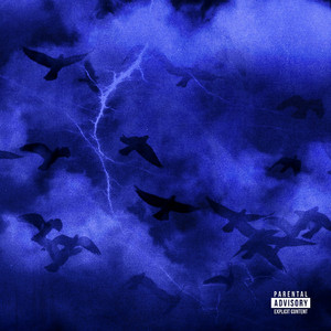 成人免费毛片❌❌❌男力性巴克
