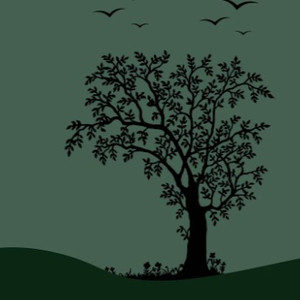 成人免费毛片❌❌❌男力性巴克
